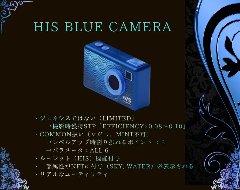 HIS BLUE CAMERA