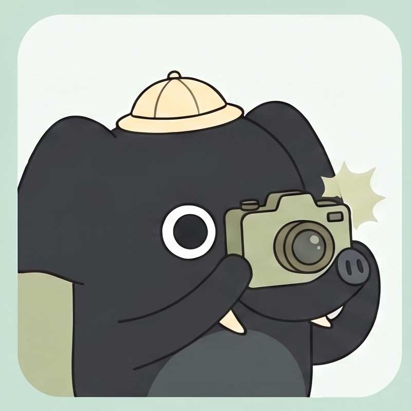 STEP 1：旅先で撮る